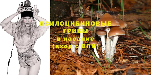 тгк Красноперекопск