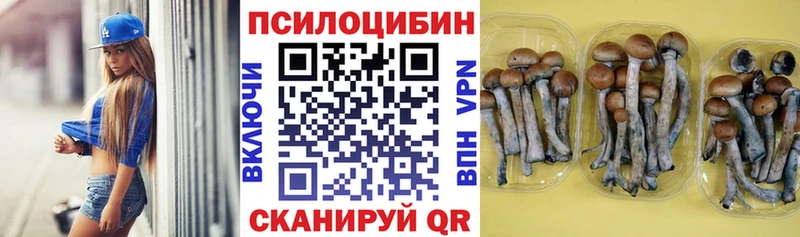 Псилоцибиновые грибы Psilocybine cubensis Купить закладки Коркино